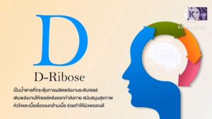 DN Daze  นวัตกรรมชลอวัย Anti Aging NAD ฟื้นฟูอวัยวะทุกส่วน ย้อนวัยกลับมาเป็นหนุ่มสาวอีกครั้ง