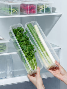 Freshness Preservation Sealed Storage Box for Refrigerator Scallion Cilantro Noodles Food Grade Plastic Fruit Storage Box
