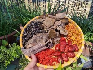 sét 100 con bổ củi kem vị ngâm táo đỏkỳ tử lá dâm dương đông trùng...