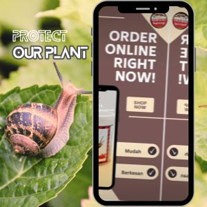 Kawalan / Racun Siput Babi Snail Repeller 蜗牛驱虫器