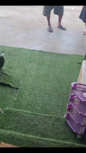 Dyna Home เตาแก๊ส เตาแก๊ส2หัว เตาแก๊สไดน่าโฮม รุ่น LK-223 เตาแก๊สสแตนเลสหัวคู่ หัวเตาเหล็กหล่อ แบบตั้งพื้น ขาสี