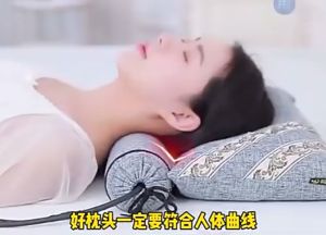 HAIRperone Detachable Neck Protection Wormwood Pillow For Health Care And Comfortable Sleep/ Bantal Tengkuk Sakit 艾草枕头