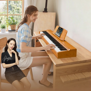 Professional Home Entry Level Electric Piano