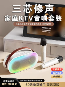Bluetooth Wireless Integrated Home TV Karaoke Speaker Mobile Singing Microphone Double Speaker Handheld Family KTV Mic