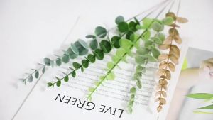 Daun Eukaliptus Lebar Yugali & Bunga Artificial Minimalis