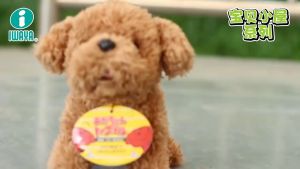 【COD】Electric Dog Toy for Kids Simulation Plush Dog Barking Dog Toy Barking and Walking Electric Plush Dog Toy for Kids