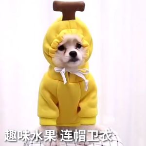 Cat Clothes Dog Pet Shirt Hoodie Pouch Kitten Sweatshirt