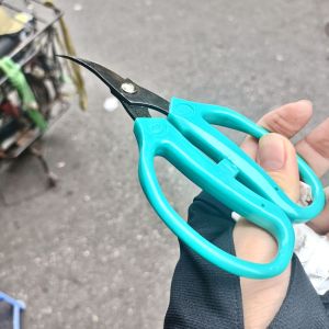 Kéo xanh tỉa cành mũi cong siêu bén