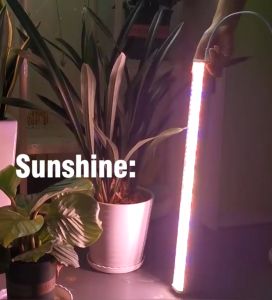 AC220V LED Grow Light Full Spectrum 144leds 25W/pcs Plant Light Waterproof Light Tube Phyto Lamp For Indoor Plants Flower Seedling With 1.5m plug