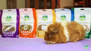 FREE SHIP OXBOW Bánh Cỏ Timothy Multi Vintamin Mài Răng Thức Ăn Cho Thỏ Bọ Hamster Chinchillas