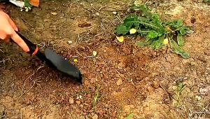 Shovel Gardening Planting Tool Set Rake Hoe Garden Tools And Equipment Gardening Tool For Garden