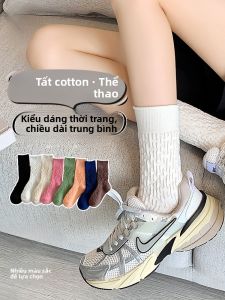 MiiOW | Tất thể thao chống trượt thấm hút mồ hôi cotton cho nữ Tất dài đến bắp chân mùa thu đông đa năng MiiOW Cat Person