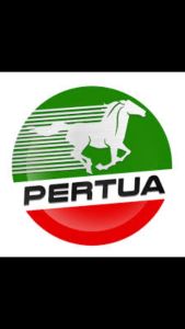 PERTUA Exello Diesel Engine Oil Fully Synthetic Sky-100 Fully 5W-40 1L CK-4