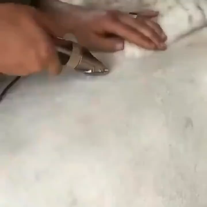 COD Mata Pisau BaoRun P6 P7 P9 S1 P2 Alat Cukur Hewan Stainless Steel Pet Clipper Blade CP44