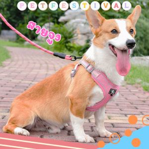 สายจูงสุนัข สายจูงสัตว์ สายรัดสุนัข สายจูงหมาใหญ่ สายรัดอกสุนัข สายจูงหมา Dogharness สายจูงสุนัขแบบรัดอก สายจูงหมาเล็ก สายรัดอกสุนัข