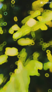 Sách: OKR - Bước Đột Phá Kép Trong Công Việc Và Cuộc Sống