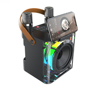 Máy Karaoke Di Động Với 2 Micro Không Dây Đèn LED Đầu Đọc Thẻ USB TF Hệ Thống Âm Thanh PA Cho Tiệc Tại Nhà