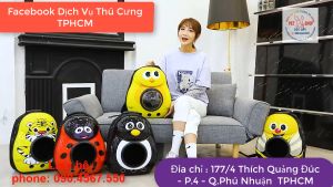 Balo Phi Hành Gia cho Chó Mèo - Balo Thú Cưng  Balo vận chuyển cho chó mèo