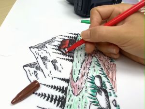 Bút lông màu nước Stacom 12 màu FP212C