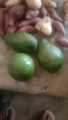 Buah Alpukat - Alpukat mentega - Alpukat Mentega Super Murah. 
