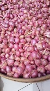 Bawang Merah Mentah Kemasan 500 Gram