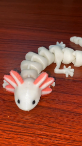 Articulated Axolotl Multicolor Cute Reptile Flexi Articulated Toy Fidget Sensory Toy Movable Gift Flarelab COD Manila Ships Fast