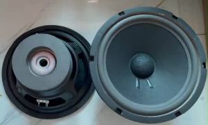 Loa rời bass 25 từ kép 126 - 120 coil 51 - giá 1 loa - Loa bass -Loa bass rời