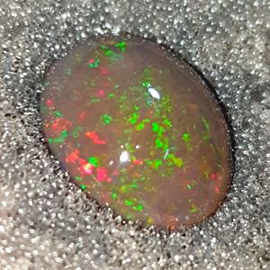 kalimaya banten jumbo montok