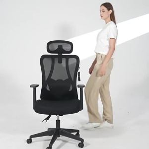 Hbada | Ergonomic Rotatable Reclining Chair
