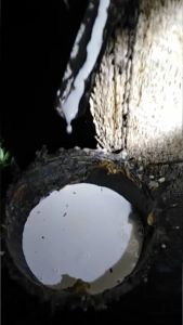 พาราโกลด์ 1 ลิตร ผลิตภัณฑ์อินทรีย์ ปุ๋ยทาบำรุงหน้ายางพารา ยาทาหน้ายาง เพิ่มน้ำยาง เพิ่มเปอร์เซ็นต์ รักษาโรคหน้ายางตายนึ่ง