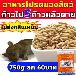คุณภาพและเครื่องมือของ "1คืน หนูตายหมด RATICIDE ยาเบื่อหนู 750g ลด 60บาท นำเข้าจากอเมริกา" อาจมีความสับสนในหนอนนี้: