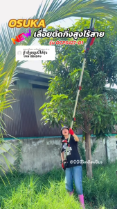 เลื่อยตัดแต่งกิ่งสูงไร้สาย 20V บาร์ยาว 6นิ้ว ด้ามต่อสูงสุด 4เมตร ยี่ห้อ OSUKA รุ่น OCPS427-D1