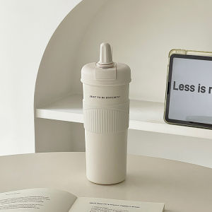 Elegant Simple Insulation Straw Cup Stainless