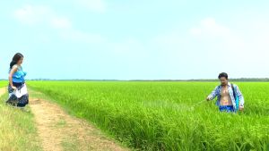 โฟร์ทรีบูสเตอร์ 4tree BOOSTER นวัตกรรมสารสกัดจากไคโตซานบริสุทธิ์ สูตรอิออนและ X-FECTOR Kaideeshop888