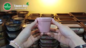 Pot Keramik Bonsai Bundar Mini Mame