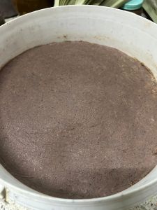 กะปิเคยแท้จากภาคใต้ทำกับอะไรก็หร่อยนิ