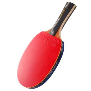 Double Fish | Professional Grade Beginner Ping Pong Racket