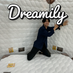 SWANA ที่นอนสปริง หนา 10 นิ้ว รุ่น DREAMILY สีขาว |LAN|