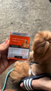 PUAINTA 6/12 Tabs Deworm Tablet for Dogs and Cats Droad-Spectrum Athelmintics Allergic Itch Relief Fenbendazole Deworm Tablet