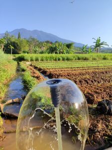 paket pompa air mancur kolam lengkap dengan filter
