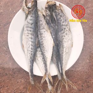 500gr Khô Cá Thu Nguyên Con Loại Nhỏ Phơi 2 Nắng Thịt Thơm Hàng Kiên Giang