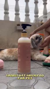 SHIBUI Oat Treatment Shampoo For Cat Dog Pet Mini Oat Shampoo Moisturizing Nourishing Non-Toxic (500ml & 100ml) Syampu Oat Haiwan Peliharaan Anti Kutu Tidak Beracun