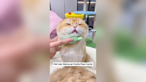 Dog Cat Hair Removal Comb Easily Remove Tangles Stainless Steel Teeth Washable Cat & Dog Hair Care