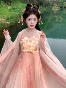 Huarong Original [Four Seasons Spring] Tang Womens Han Chinese Clothing Terminus Skirt Chinese Traditional Han Clothing Embroider Spring and Summer Han Elements