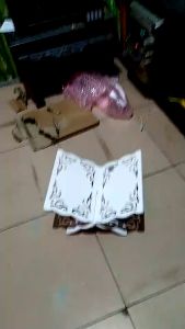 Meja Belajar & Meja Ngaji Baca Alquran: Pilihan Furniture Berkualitas