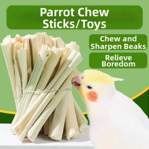 JIUQI | Bite Grinding Entertainment Toy for Parakeets