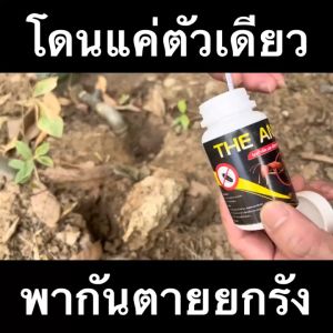 Bột THE ANTS 100g Diệt Gián Kiến Mối Nội Địa Thái Lan Dùng 1 Lần Diệt Cả Ổ Trong 5 Phút Tặng Thìa Xúc Bột + Mua 2 Tặng 1