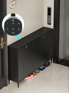 Lockable High-capacity Shoe Cabinet