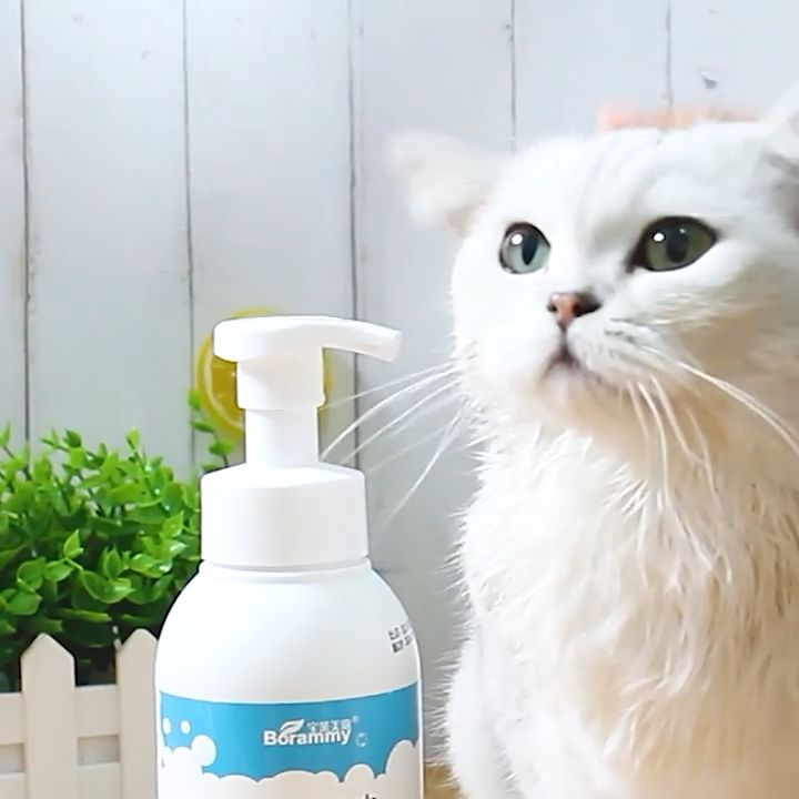 10 อันดับ โฟม/สเปรย์อาบแห้งสัตว์เลี้ยง ยี่ห้อไหนดี? อัปเดตปี 2025