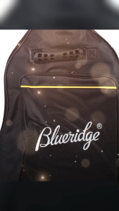 BLUERIDGE HIGH QUALITY GUITAR PADDED BAG 41